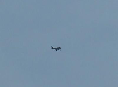 Прикрепленное изображение: bDSCF1109.jpg